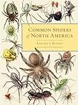 The Best Biological Science of Insects & Spiders