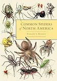The Best Biological Science of Insects & Spiders