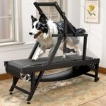 The Best Dog Treadmills