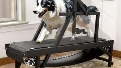 The Best Dog Treadmills