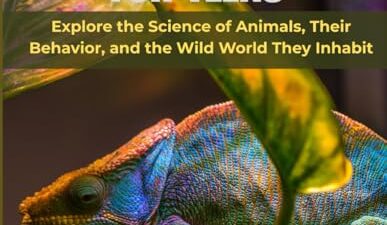 The Best Reptile Zoology