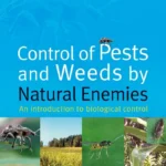 The Best Weed & Pest Control
