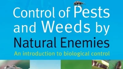 The Best Weed & Pest Control