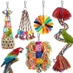 The Best Bird Toys