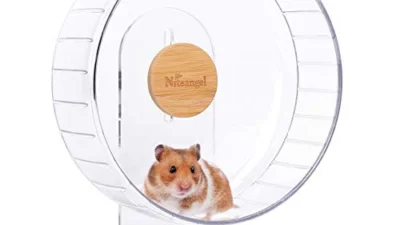 The Best Small Animal Exercise Wheels