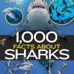 The Best Biological Science of Fish & Sharks