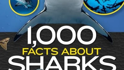 The Best Biological Science of Fish & Sharks