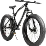The Best Fat Bicycles