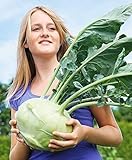 The Best Fresh Kohlrabi